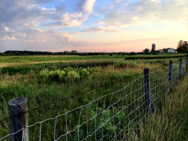 What’s In Your Daily&nbsp;Planner?